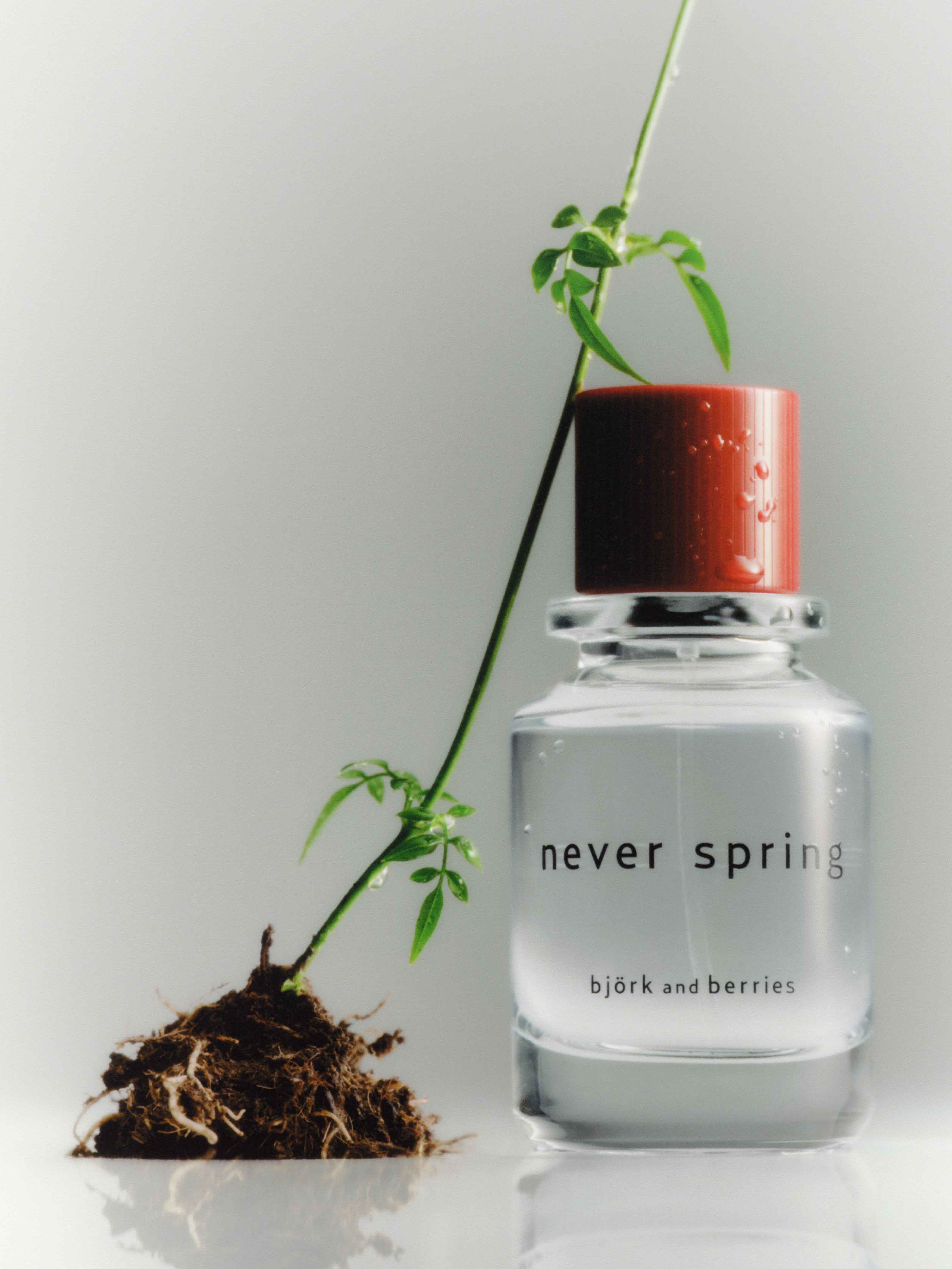 Never Spring Eau de Parfum 100ml | Björk and Berries – Björk and
