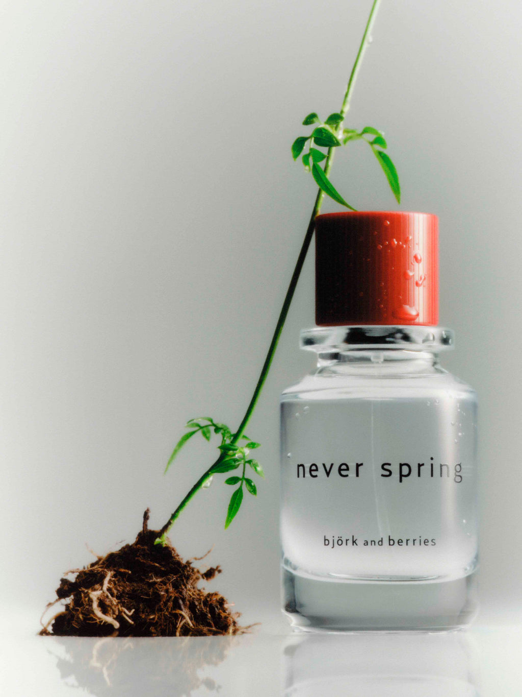 Never Spring Eau de Parfum (100ml)