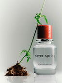 Never Spring Eau de Parfum
