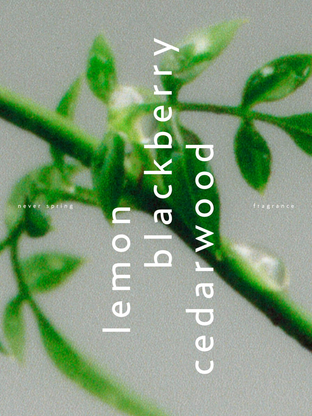 Never Spring Perfume Oil