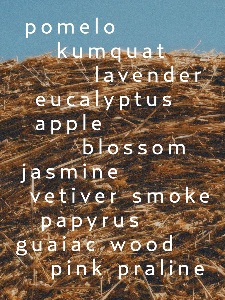 September (Eau de Parfum)