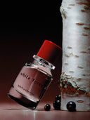 White Forest Eau de Parfum